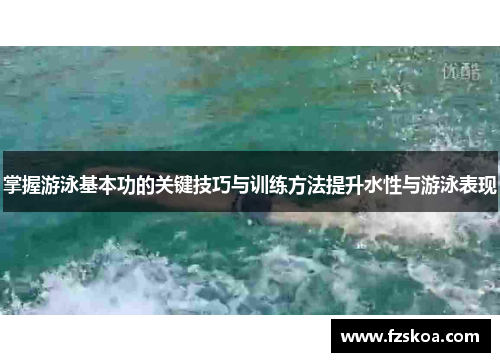 掌握游泳基本功的关键技巧与训练方法提升水性与游泳表现