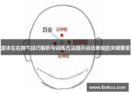 游泳左右换气技巧解析与训练方法提升运动表现的关键要素